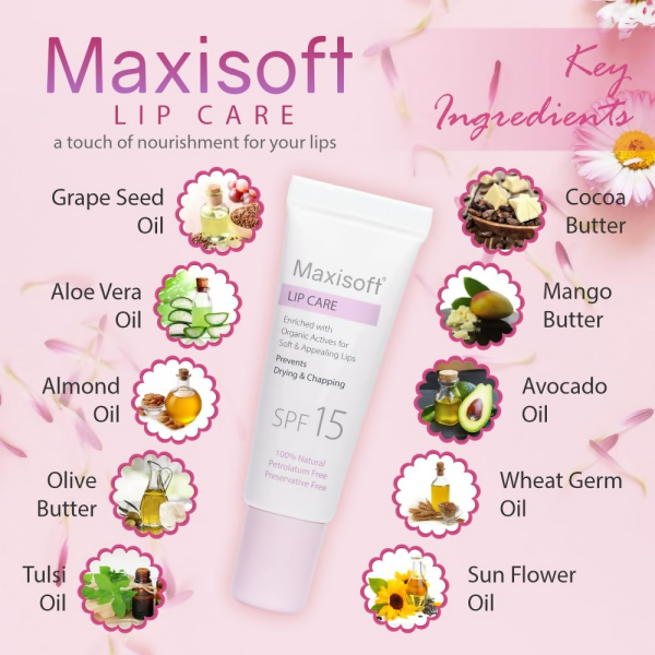 Maxisoft Lip Care with SPF 15 For Sale